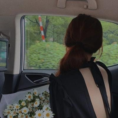 宫女奋斗日常