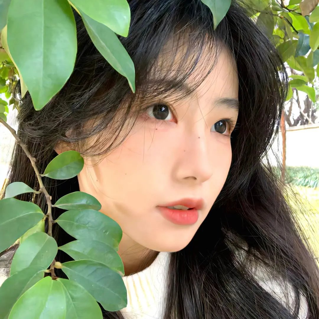摘星的你
